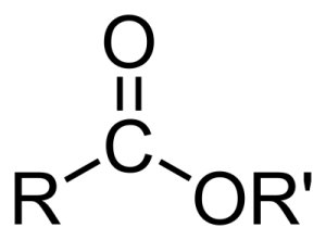 How one "ester" effects user differently (real science)
