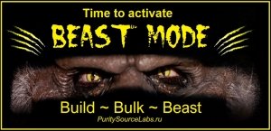 Beast Mode cycle (buy now) BULK BULK BULK!