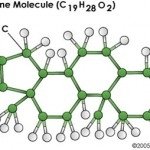 Using testosterone to build muscle